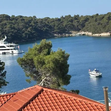 Tatjana, Rab Appartement *