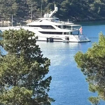 Tatjana, Rab * Palit